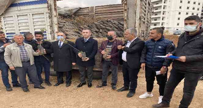 Midyat’ta çiftçilere 48 bin 805 fıstık-badem fidanı dağıtıldı