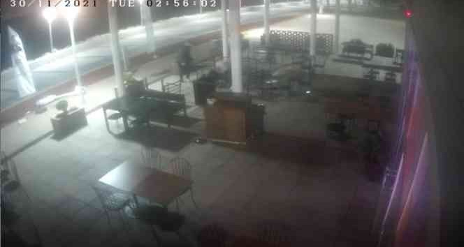 Mersin’de belediyenin kafesine zarar verenler yakalandı