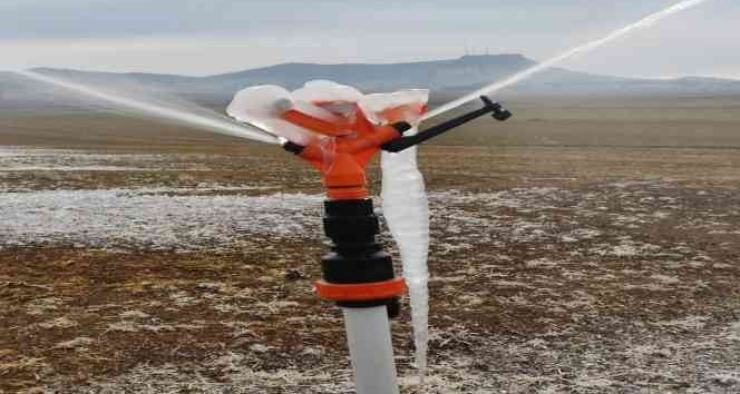 Mardin’de sulanan araziler buz tuttu