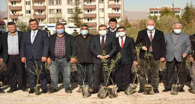 Karaman’da çiftçilere fidan dağıtıldı