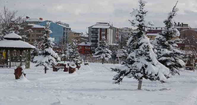 Ardahan’da beyaz güzellik