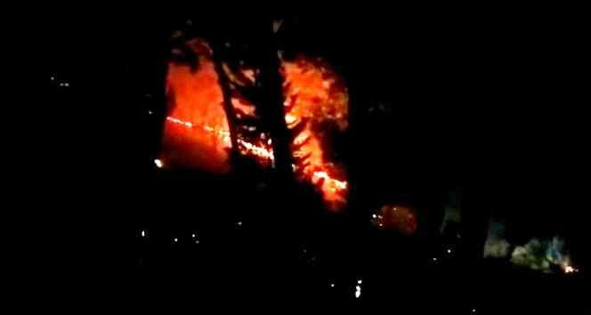 Osmaniye’de çıkan orman yangını büyümeden söndürüldü