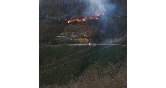 Bahçesinde ateş yakarken ormanlık alanda yangına neden oldu