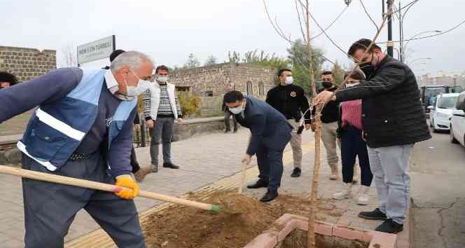 Cizre Kaymakamı Tunç, ağaçlandırma çalışmalarına katıldı