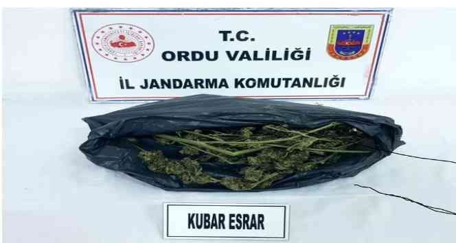 Jandarmadan uyuşturucu operasyonu: 4 gözaltı