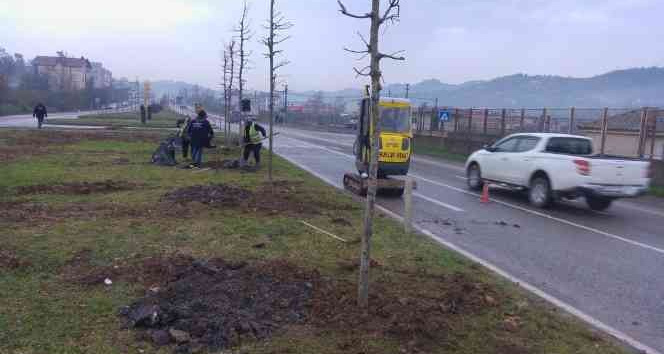 Ordu’da yeşil seferberlik