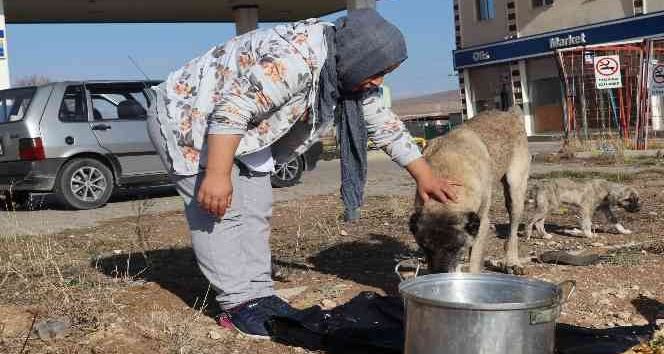 Sokak hayvanlarının bakımları için günlük 40 kilometre yol gidiyor