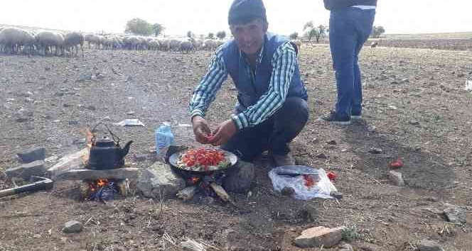 Hayvan otlatma meselesi kanlı bitti: 1 ölü