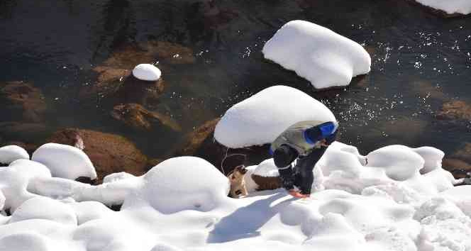 Karla kaplı yaylada ölmek üzere olan köpeği Dicle Elektrik ekipleri ve gazeteciler kurtardı