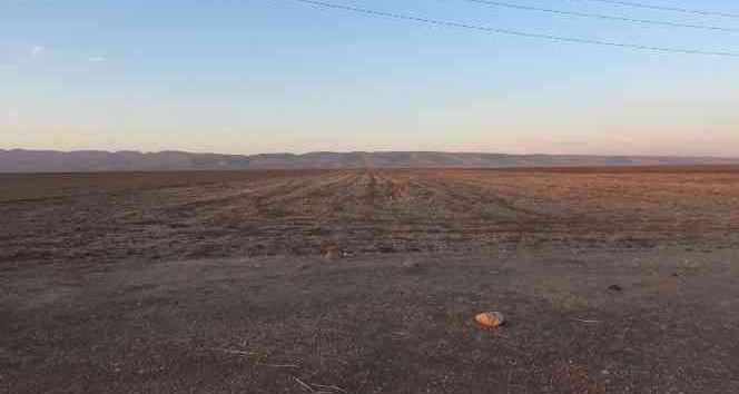 Mardin’de ağır petrol keşfedildi