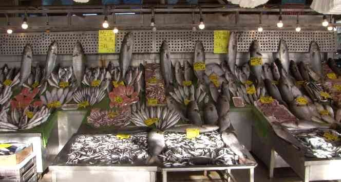 Denizlerde kofana bolluğu: Fiyatı 250 TL’den 90’a düştü