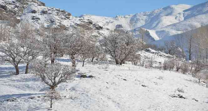 Şırnak’ta termometreler eksi 21 dereceyi gösterdi, dereler dondu
