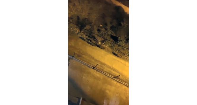 Giresun’da aç kalan domuz sürüsü ilçe merkezine indi