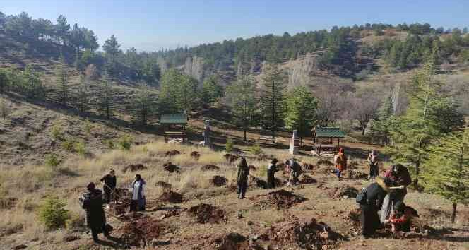 Gençler yüzlerce fidanı toprakla buluşturdu