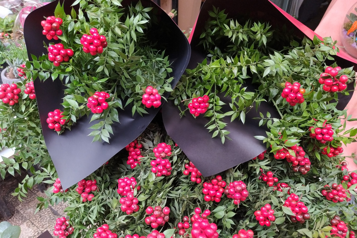 25 liraya ev sahibi olmak için çiçekçiye akın ediyorlar