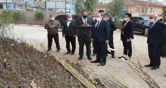 Şırnak’ta çiftçilere 108 bin adet meyve fidanı dağıtıldı