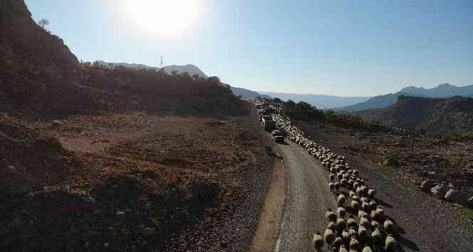 Göçerler, çıktıkları Faraşin’den Cudi Dağına indi