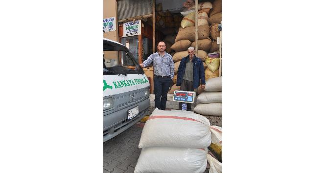 Fındık fiyatı rekor üstüne rekor kırıyor