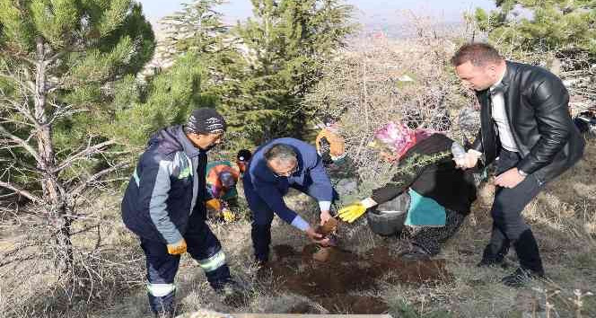 10 Bin fidan toprakla buluşuyor