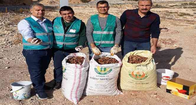 Ermenek’te adliye çalışanları dik yamaçlara tohum serpti