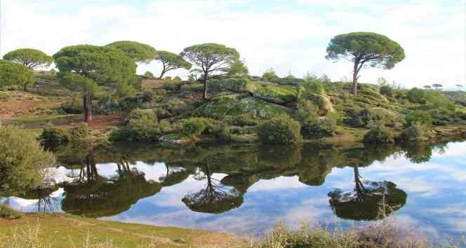 Madran Dağı’nın güzelliği görenleri hayran bırakıyor