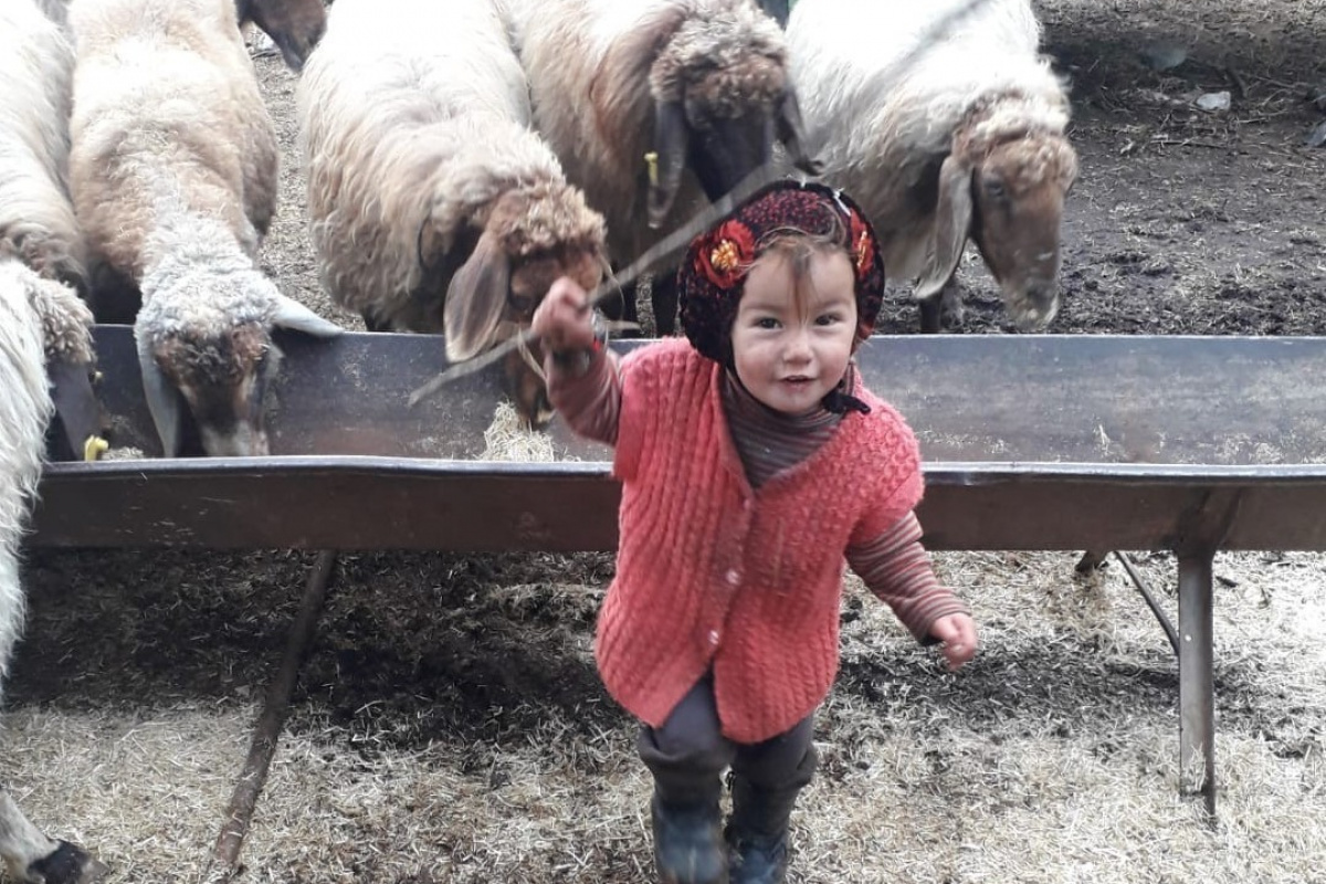 Küçük Müslüme’nin mezar taşı yürekleri dağladı