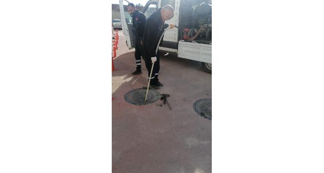 Yahşihan’da zararlı haşerelerle mücadele sürüyor