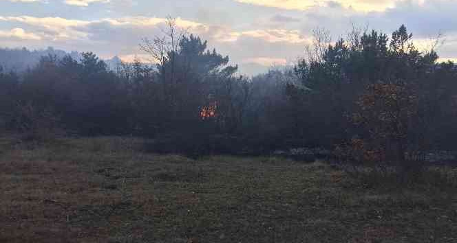 Tokat’ta orman yangını, bölgeye itfaiye ekipleri sevk edildi