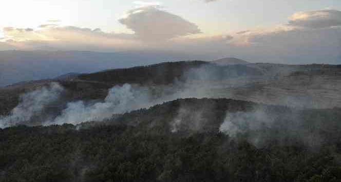 Tokat’ta orman yangını kontrol altına alındı