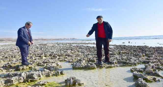 Van Gölü’nün çekilmesiyle yeni mikrobiyalitler gün yüzüne çıktı