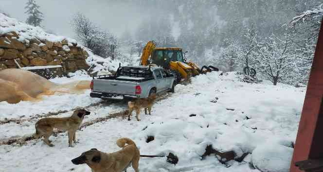 Alanya’da kara saplanan araçta mahsur kalan vatandaşları belediye ekipleri kurtardı