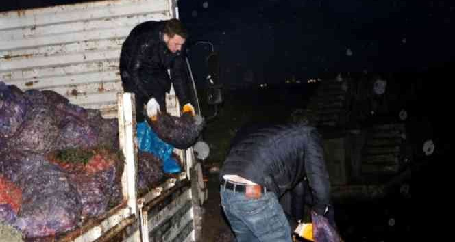 Yalova’da 8 ton kaçak avlanan midye denize bırakıldı