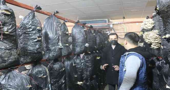 Atıl durumdaki prefabrik, çiftçiler için üretim merkezine çevrildi