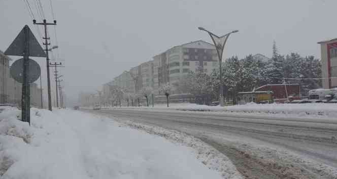 Bitlis’te 76 köy yolu ulaşıma kapandı, okullar tatil edildi