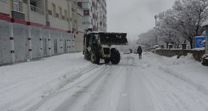 Bitliste 76 köy yolu ulaşıma kapandı, okullar tatil edildi