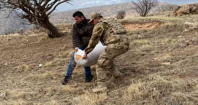 Siirt’te yaban hayvanları için doğaya yem bırakıldı