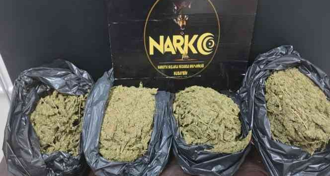 Nusaybin’e uyuşturucu madde operasyonunda 1 kişi tutuklandı