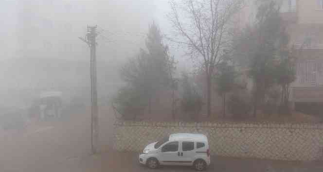 Mardin’de yoğun sis, göz gözü görmüyor