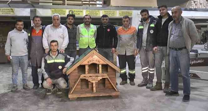 Eski kamelyalardan kedi evi yapıyorlar