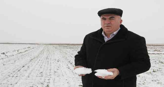 Karaman’da son yağışlar çiftçiyi sevindirdi