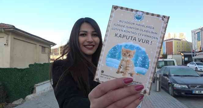 Araçların motor bölümüne giren kedilere dikkat: ’Kontağı çevirmeden kaputa vurun’