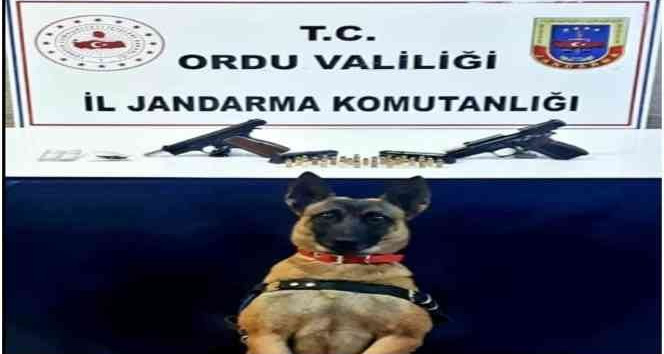 Jandarma ekiplerinden uyuşturucu operasyonu: 2 gözaltı