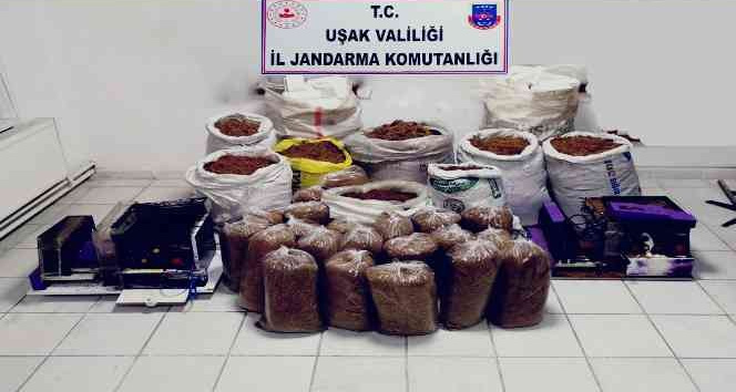Uşak’ta 310 kilogram kaçak tütün ele geçirildi
