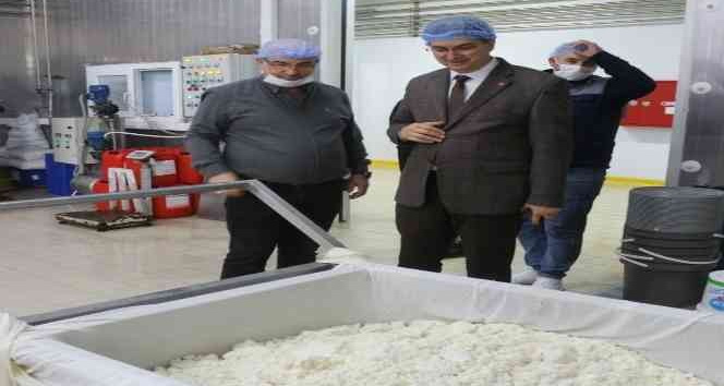 Kırklareli’de süt işletmelerine denetim
