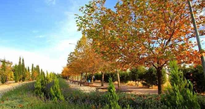 7 Aralık Üniversitesi Greenmetric Dünya Üniversiteleri sıralamasında