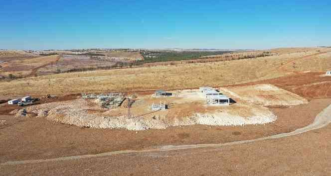 Şanlıurfa’da sokak hayvanları için rehabilitasyon merkezi kuruluyor