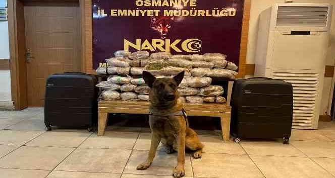 Doğudan batıya uyuşturucu sevkiyatına Osmaniye polisinden darbe