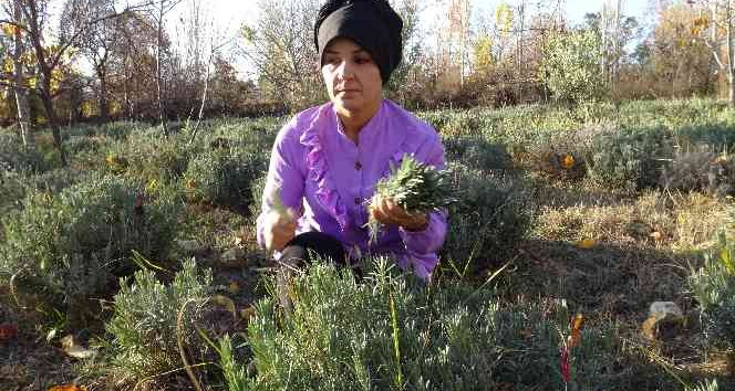 Karaman’da 8 çocuk annesi azmiyle ilçenin gururu oldu
