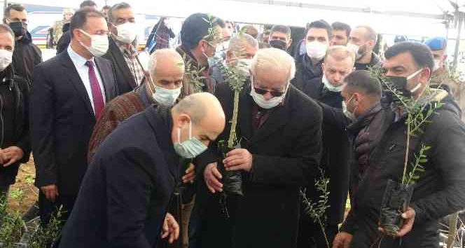 Mardin’de çiftçiye 750 bin fidan dağıtıldı