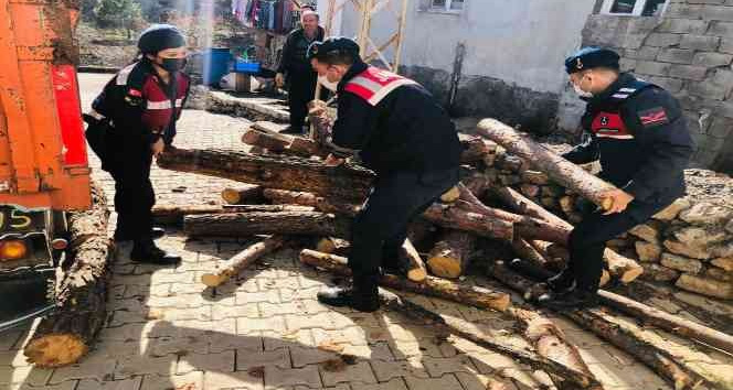 Jandarmadan ihtiyaç sahibi ailelere 10 ton odun yardımı